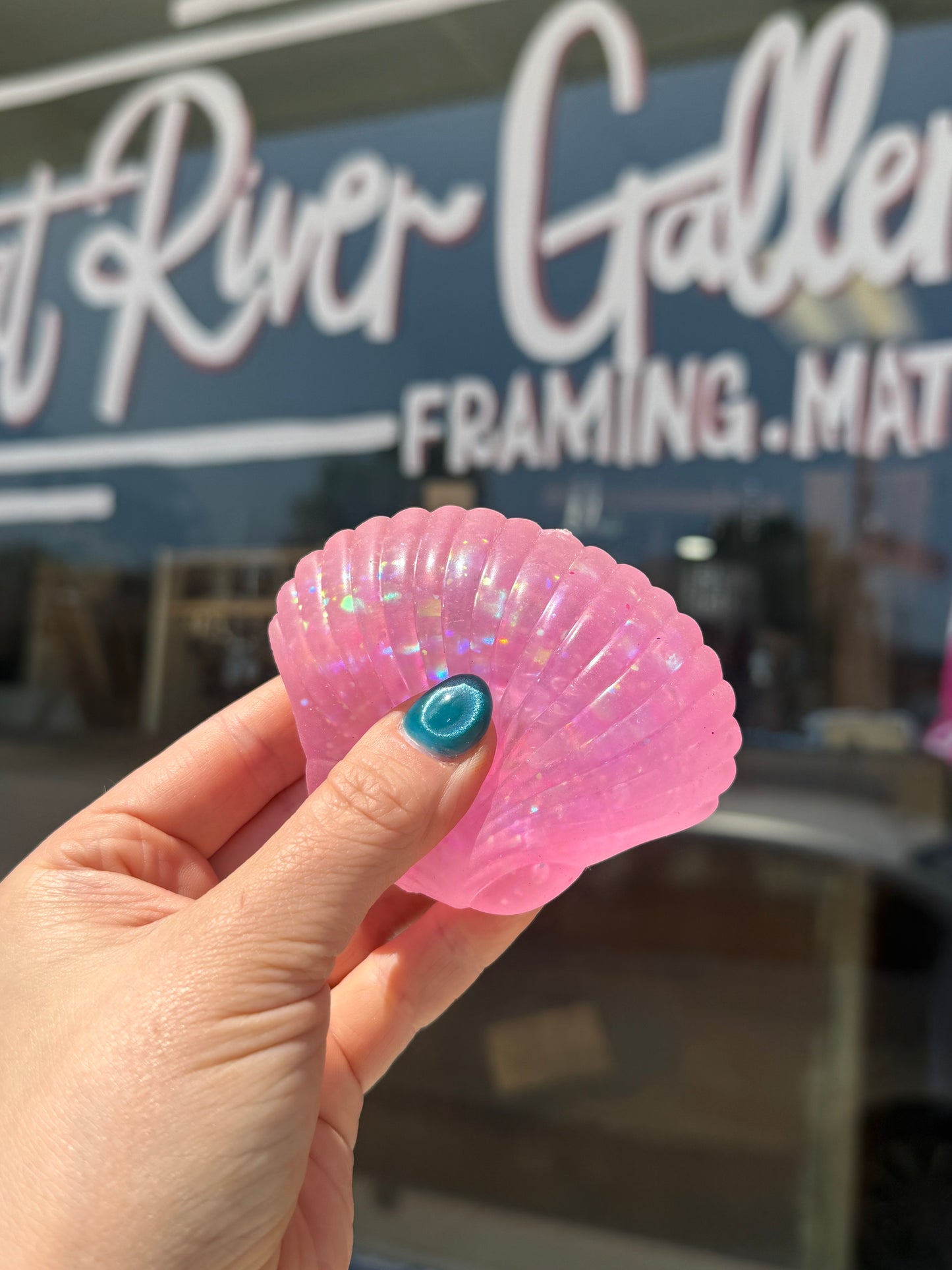 Sea Shell Squishy