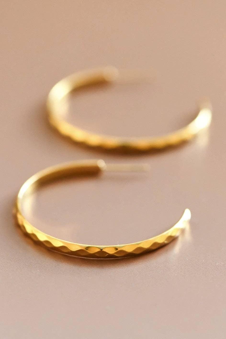 18K Gold PVD Plated Waterproof Stainless Steel Hoop Earrings - 7130: S0OX3T7130